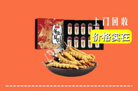 忻州繁峙县回收冬虫夏草