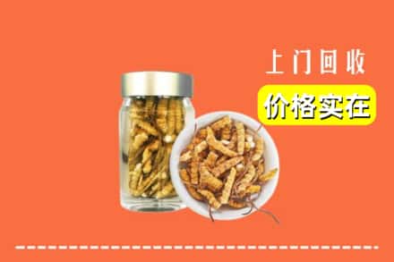 收购资讯:忻州繁峙县回收散虫草