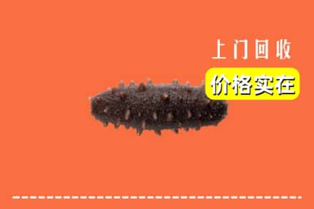 收购资讯:忻州繁峙县回收海参