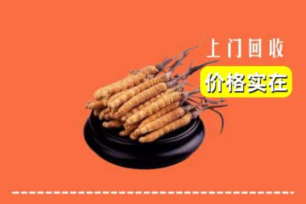 忻州繁峙县回收冬虫夏草
